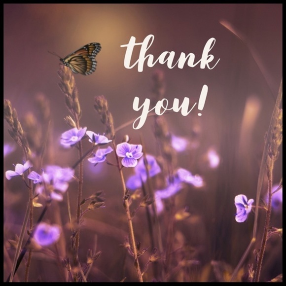 🦋 WELCOME TO MY CLOSET 🦋 - Picture 3 of 4